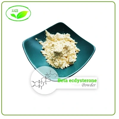 Beta Ecdysterone Bulk Powder